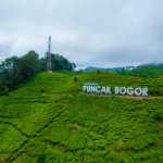 Destinasi Wisata di Puncak Bogor yang Wajib Dikunjungi