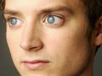 Элайджа Вуд фотографии