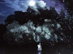 Маяк-2025: Смысловые галлюцинации российского кино