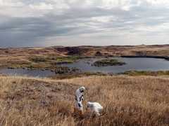 Незажившая рана Казахстана: «Мы здесь живем» Жананы Курмашевой