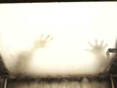 Очертания обычных человеческих созданий: Гид по фестивалю «Докер»-2025