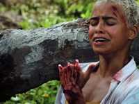 Земля I (2019) фотографии