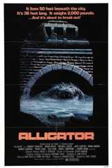 Аллигатор