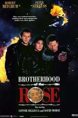 Братство розы
