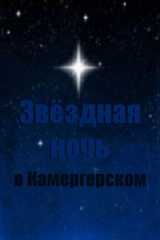 Звёздная ночь в Камергерском