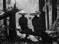 Опубликован трейлер фильма Рустама Хамдамова «Мешок без дна»