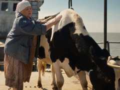 Светлана Пермякова переживает за свою корову в эксклюзивном отрывке из «Паромщика»