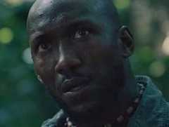 «Зеленая книга»: больше, чем путешествие от Питера Фаррелли