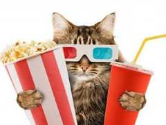 Forbes составил рейтинг самых ожидаемых фильмов среди россиян