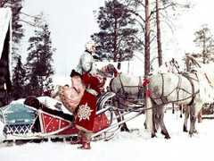 Мороз и солнце, фильм чудесный!: «Москино» открывает бесплатные праздничные показы