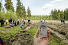 Создатели «Белого парохода» высадили деревья, полностью компенсировав углеродный след от съемок фильма