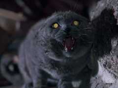 Обновлённое «Кладбище домашних животных» откроет свои ворота в апреле 2019 года