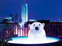 Медведи вышли на прогулку по Берлину