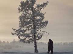 Создатели «Белого парохода» высадили деревья, полностью компенсировав углеродный след от съемок фильма