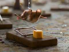 Счастье по-турецки, развод под Новый год и ужасы российской глубинки: главные трейлеры за неделю