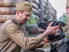 Евгений Миллер воспитает «Солдата по кличке Рекс»