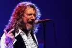 Robert Plant mit Alison Krauss live in Düsseldorf., Live 2008 | © laut.de (Fotograf: )