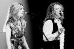 Robert Plant mit Alison Krauss live in Düsseldorf., Live 2008 | © laut.de (Fotograf: )