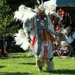 Fancy Dancer Fancy Dancer, image courtesy <a href="http://en.wikipedia.org/wiki/Fancy_Dance">Wikipedia</a>