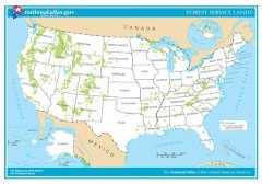 United States Forests Map.