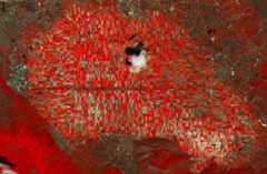fuc_radar-FOTO-5