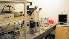 Microscope 3