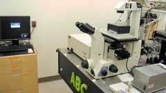 Microscope 4