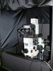 Microscope 5