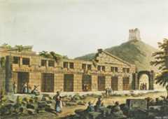 Andriake Granarium (Mayer, 1803)