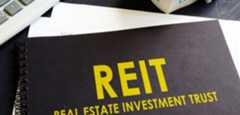 241220_reit_eye