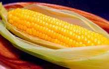 目から鱗が3回落ちる、トウモロコシをふっくらジューシーに茹でる方法