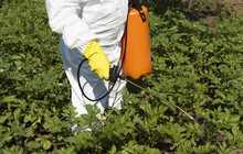 日本の野菜が危険食品に。EUが使用禁止した農薬を大幅に規制緩和する暴挙