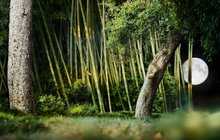 なぜ日本人には虫の「声」が聞こえ、外国人には聞こえないのか?