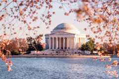 A white domed building foregrounded by a body of water and framed with autumnal leaves.