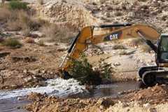 �����: ��� ��������, ���� ���� ������ 