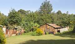 Exploring land ownership in Kiambu County.