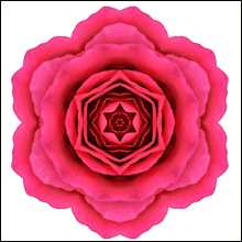 贅沢すぎる風俗プレイ！　花びら回転専門ソープランド