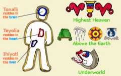 Pic 13: Colour illustration by Phillip Mursell