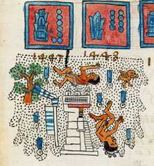 A severe snowstorm recorded in the year 7-Reed (1447), Codex Telleriano-Remensis