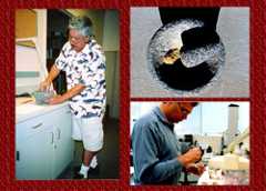 Pic 5: More orchid gum preparations: grinding the dried roots (left), the ground up powders (top right), and mixing the powders with water to make the gums.