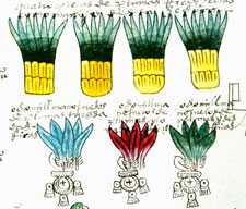 Pic 8: Precious tropical feathers paid in tribute to the Aztec rulers. Codex Mendoza, folio 46r. 