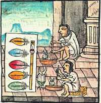 Pic 10: The children made the glue for the featherworkers. Sahagún Book 9: ill. 99.