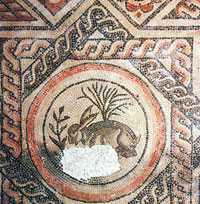 Mosaico de Liebre Romana, Museo Corinium, Cirencester