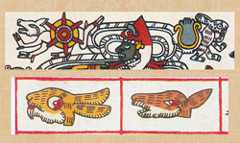 El venado (I) carga al Sol, el conejo (¿liebre?) (D) carga a la Luna (arriba); Conejo (¿Liebre?) (I) y Venado (D) – 2 símbolos de días en el calendario sagrado. Códice Borgia pag. 33 y 8