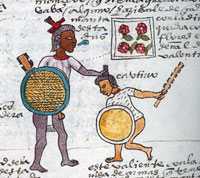 A youth capturing a warrior was given a flower-style ‘manta’ (cloak) as a sign of his bravery; he would don this emblem of honour on ritual occasions (Codex Mendoza folio 64r, detail)