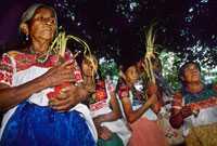 Pic 1: Nahua women dancing with sacred corn bundles.