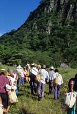 Pic 3: The pilgrims approach the sacred mountain.