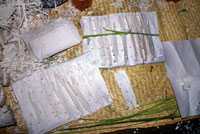 Pic 8: A closeup of the sacred cut-paper images.