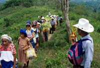 Pic 13: Pilgrims pass by a man holding a ritual implement.