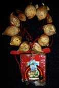Pic 4: Good luck... Common-or-garden Mexican charm or ‘amuleto’, made of garlic, a magnet, ribbons...